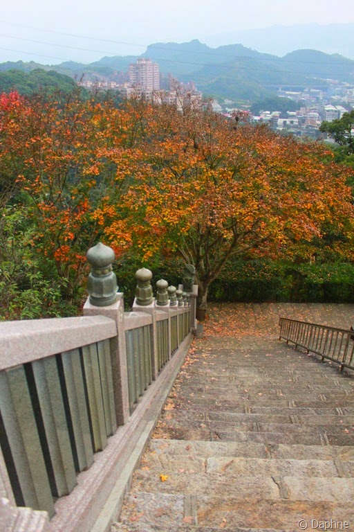 [IMG_6799%255B7%255D.jpg]