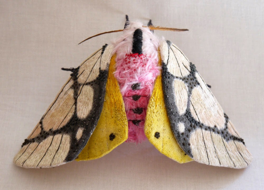 [insect-42.jpg]