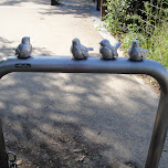 metal birds sitting on fence in Osaka, Japan 