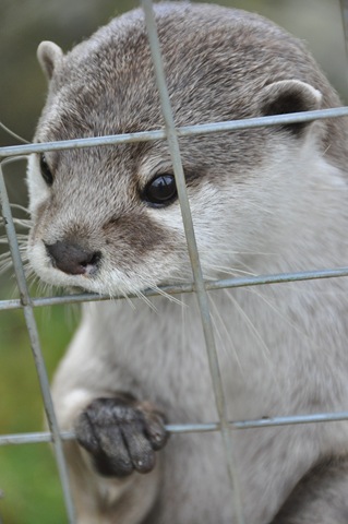 [DSC_0279%255B6%255D.jpg]