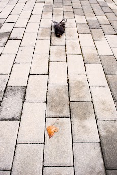 2013-03-11.jpg