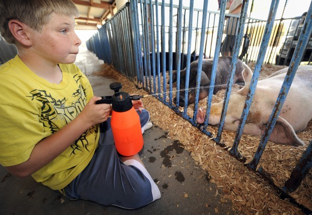Ten-year-old Jacob Kapke of Clatonia sits on the floor to spray his market swine with water to keep them cool on the first day of the Gage County Fair in Beatrice on Wednesday, 25 July 2012. State and county fairs in the sweltering and drought-stricken Midwest may see some skinnier pigs and smaller squash this year. ERIC GREGORY / Journal Star