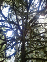2011-08-07 14.37.45.jpg