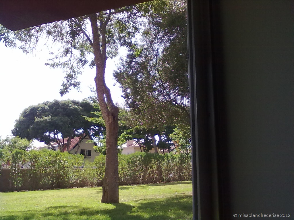 [070620121025%255B3%255D.jpg]