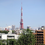 tokyo tower seen from roppongi hills in Tokyo, Tokyo, Japan
