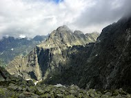 IMG_1419.jpg