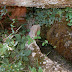 Font Soleia
