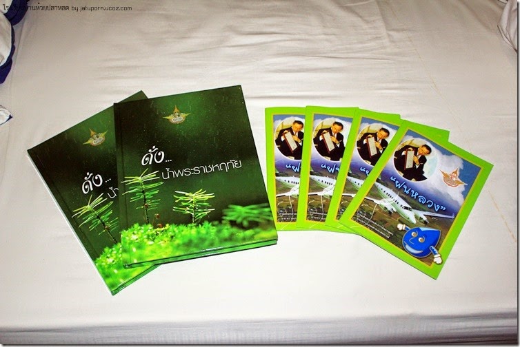 IMG_2924 IMG_2924