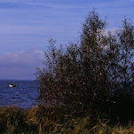 55280015.jpg