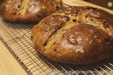 [fig-almond-bread-0195%255B4%255D.jpg]