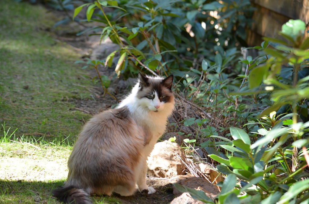 [DSC_0042%255B4%255D.jpg]