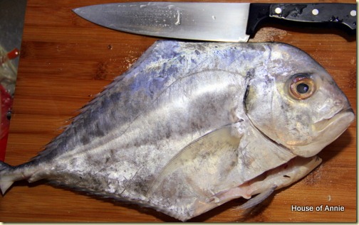 Threadfin Trevally - African Pompano Threadfin Trevally - African Pompano