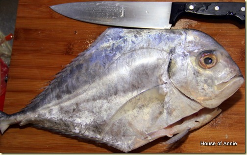 Threadfin Trevally - African Pompano