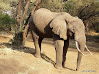 Manyara Nationalpark