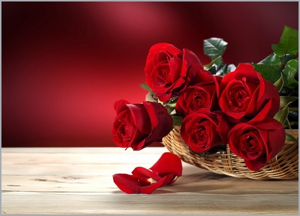557101_nature_flowers_flower_red_roses_4350x3124_(www.GdeFon.ru)