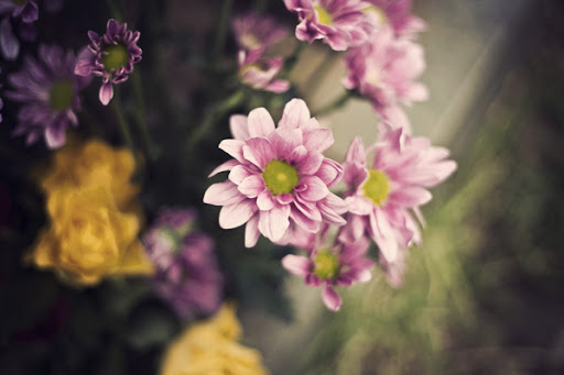 20120331_4100-2012-04-2-10-16.jpg