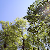 s4031076.jpg s4031076.jpg