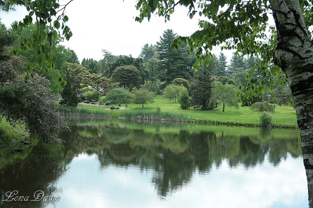 [DA_Lake_PaperBirchTree%255B7%255D.jpg]