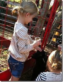 IMG_2263 IMG_2263