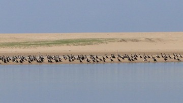 [DSC01850%255B5%255D.jpg]