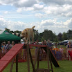 Pet Dogs