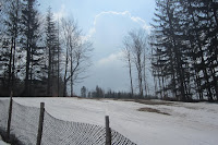 IMG_2426.JPG Photo