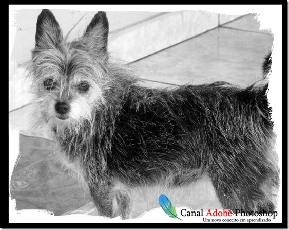 Borda criativa no Photoshop 0008 Borda criativa no Photoshop 0008