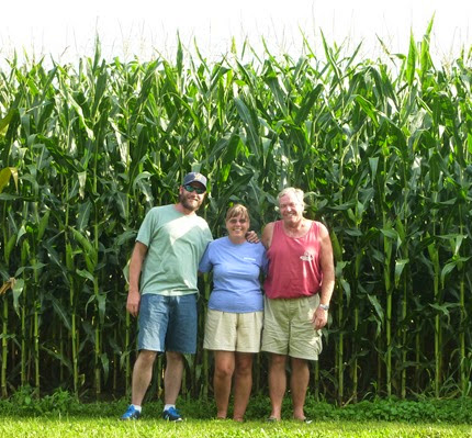 Tall Corn