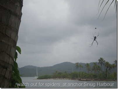 Snug Harbour with spider