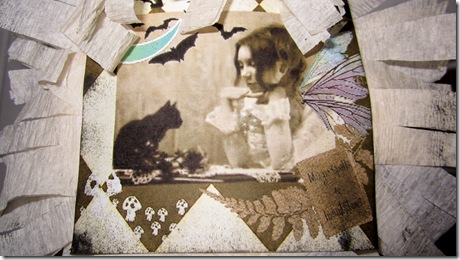IMG_3509 IMG_3509