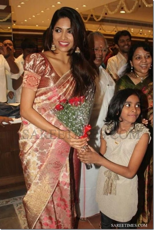 Parvathy_Omanakuttan_Traditional_Silk_Saree (2)