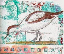 Day 11, Lin's shorebird Day 11, Lin's shorebird