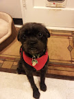 20111207_180826.jpg