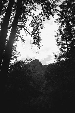 _MG_3103 copy