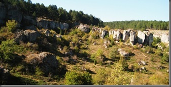 IMG_6250 IMG_6250