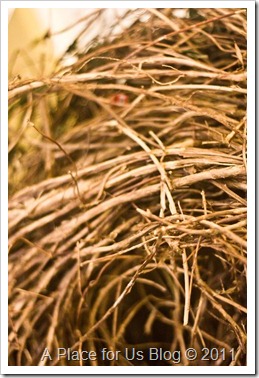 IMG_0044_2056