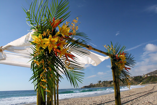 indian wedding clipart indian wedding clipart