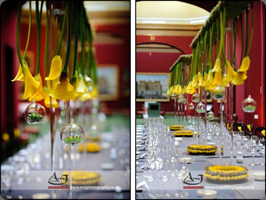 AMJ Photography - Planet Flowers - National Galleries (6)