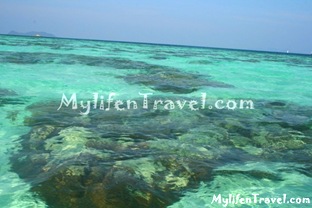 Koh Lipe Fun dive 19 Koh Lipe Fun dive 19