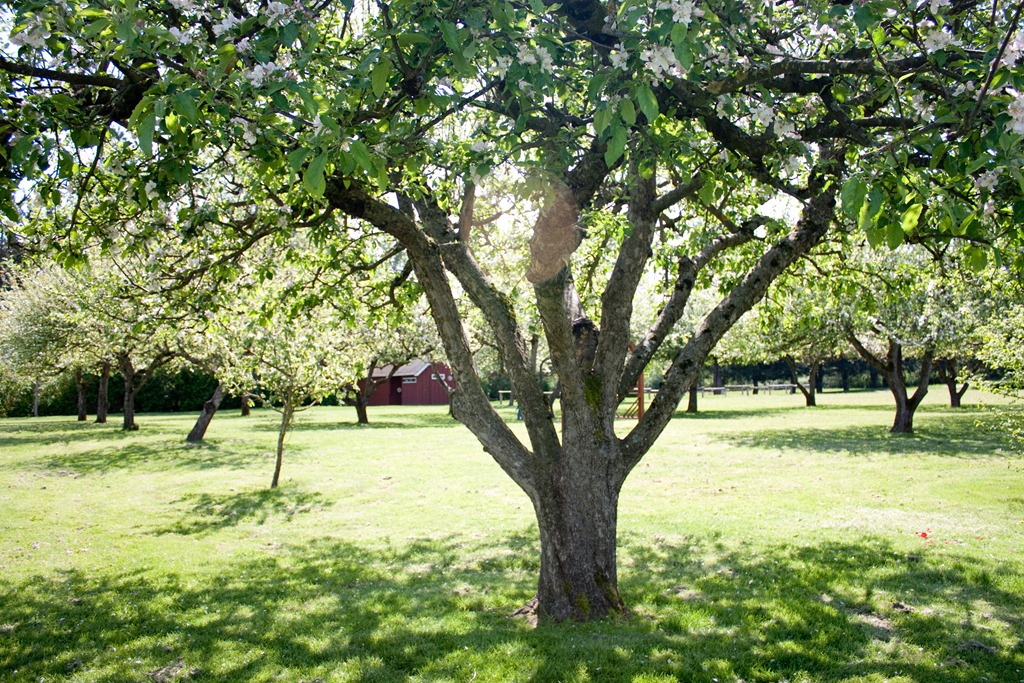 [20120506-IMG_3131%255B4%255D.jpg]