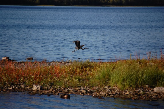 [DSC_0191%255B2%255D.jpg]