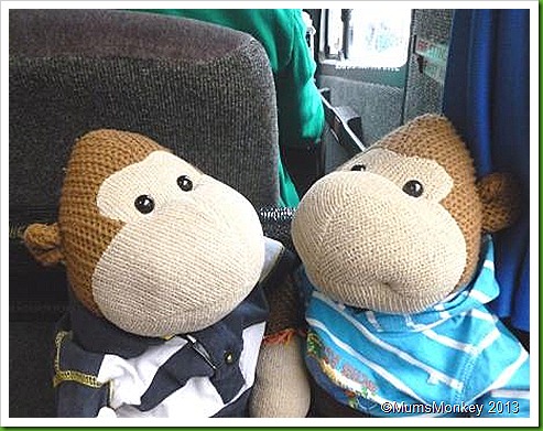 Mr Collis's Monkey Mr Collis's Monkey