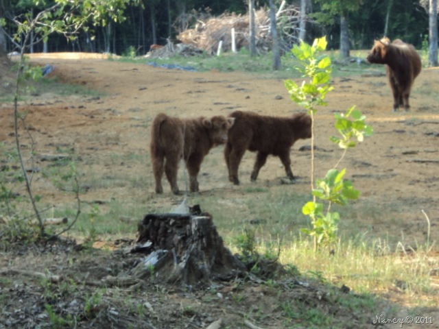 [DSC027216.jpg]