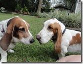 chloe and McGee chloe and McGee
