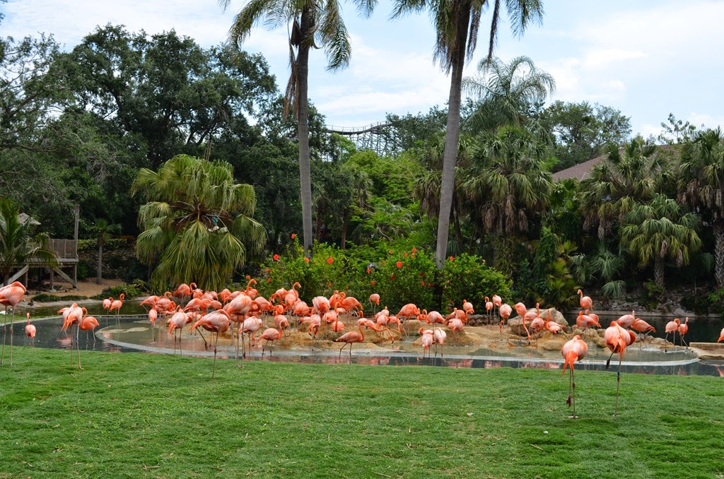 [DSC_8524%255B3%255D.jpg]