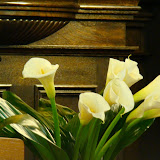 DSC06021.JPG