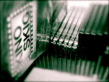 DSCF1145.JPG