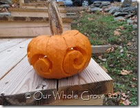 spiral pumpkin