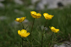 DSC03255.JPG
