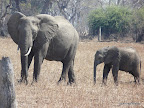 South Luanga Nationalpark